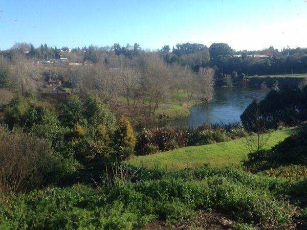 Excelsior Project - Ken + Fay lot