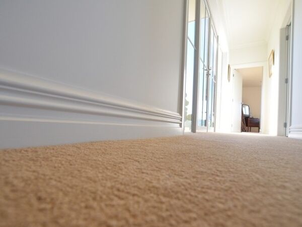 Excelsior Project - Denise