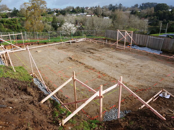 Excelsior Project - Ken + Fay lot