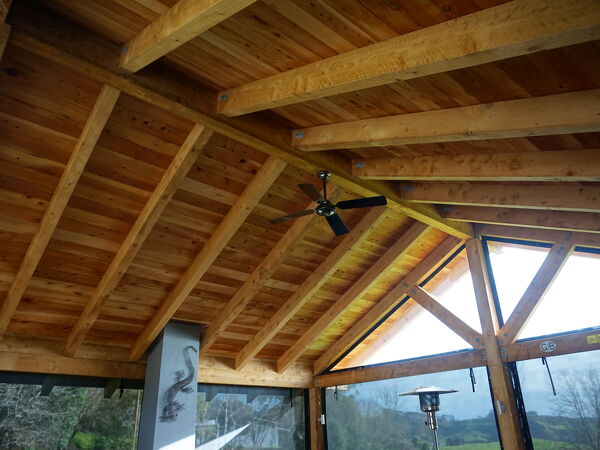 Excelsior Project - Richard + Michelle