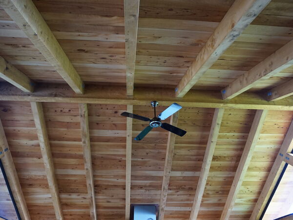 Excelsior Project - Richard + Michelle