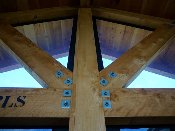 Excelsior Project - Richard + Michelle