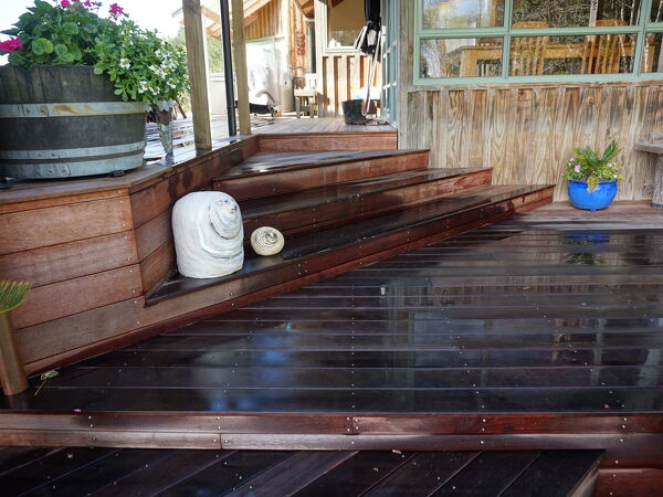 Excelsior Project - Richard + Michelle