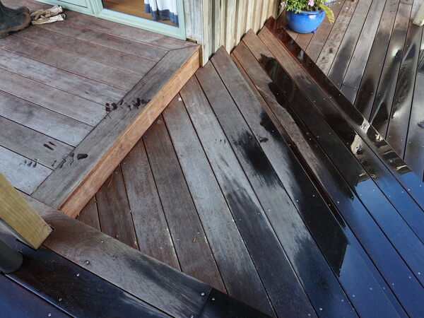 Excelsior Project - Richard + Michelle