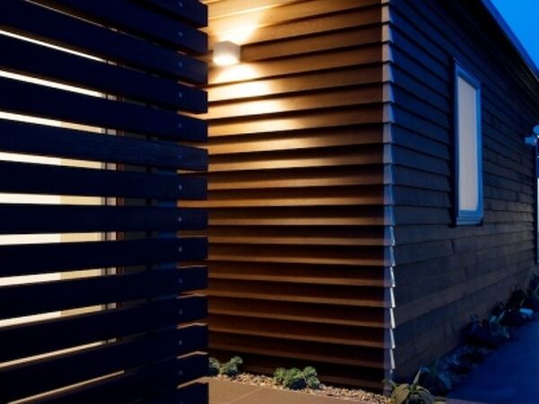 Excelsior Project - John