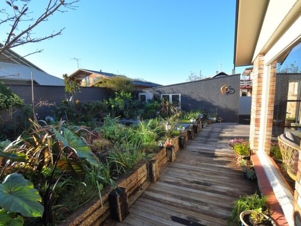 Excelsior Project - Kathy + Scott