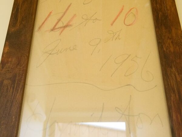 Excelsior Project - Lesley