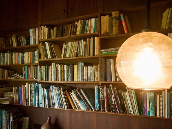 Excelsior Project - Lesley