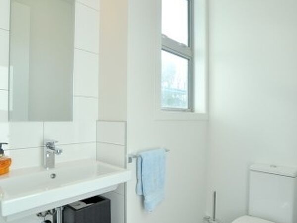 Excelsior Project - Marlene