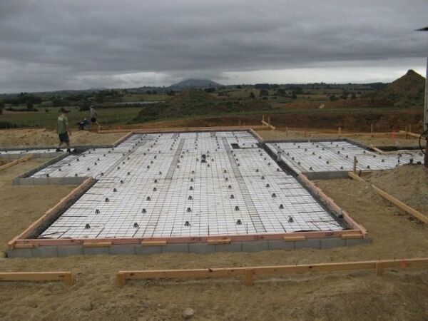 Excelsior Project - Marlene