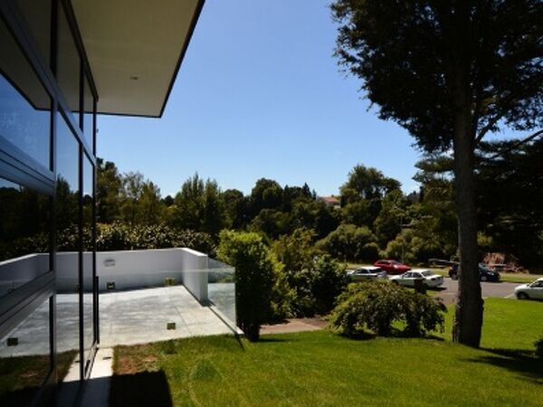 Excelsior Project - Ray + Trish