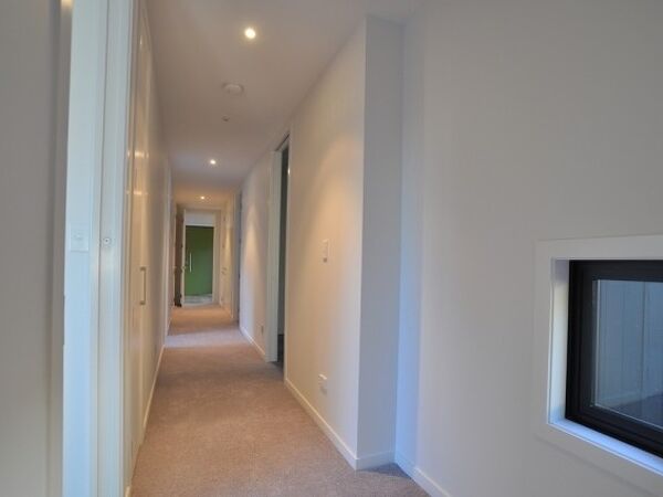 Excelsior Project - Ray + Trish