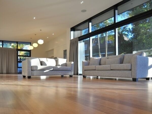 Excelsior Project - Ray + Trish